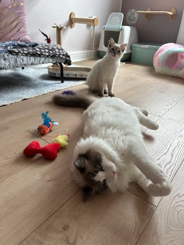 Business listing image