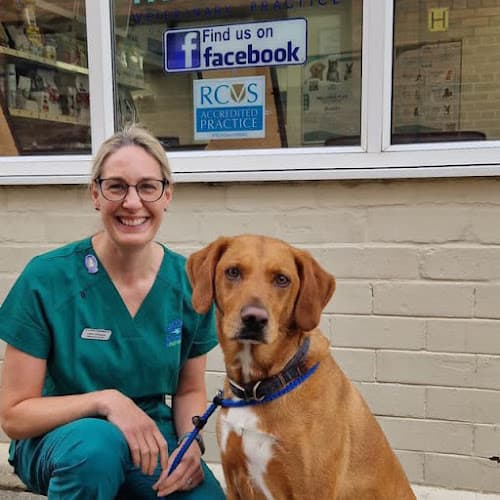 Business listing image