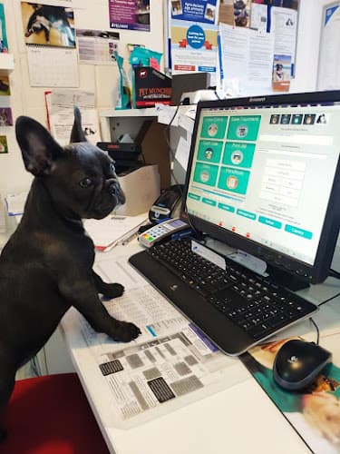 Business listing image