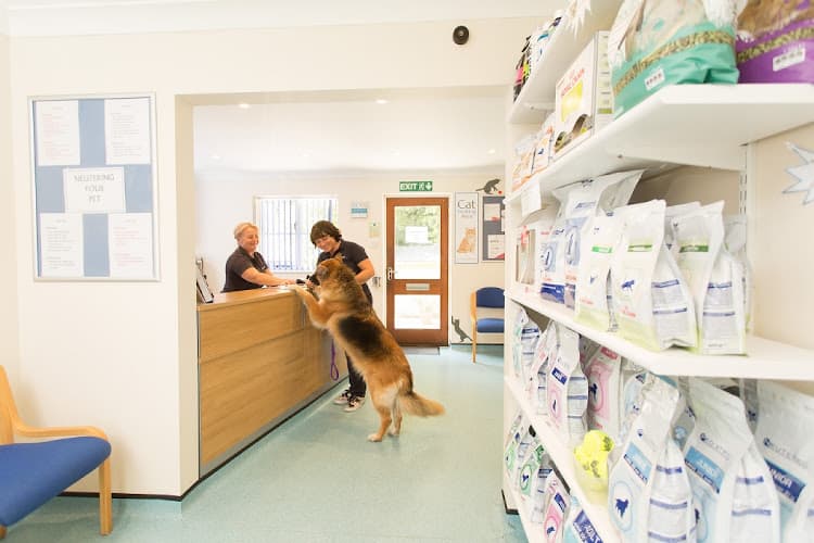 Business listing image