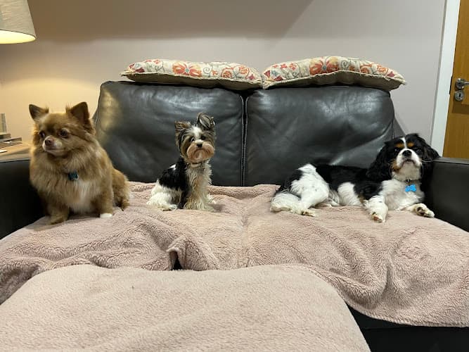 Business listing image