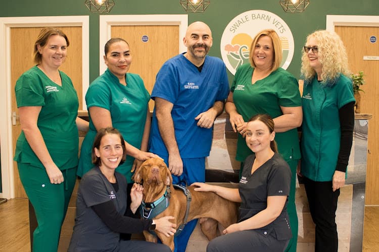 Business listing image