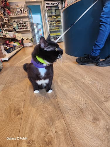 Business listing image