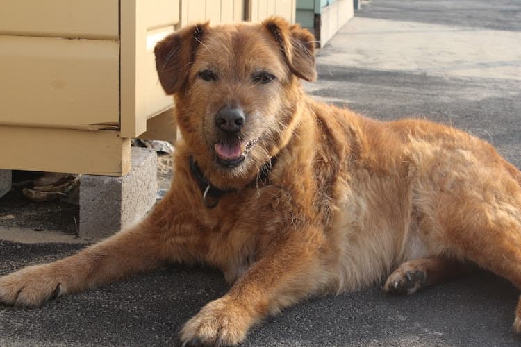 Business listing image