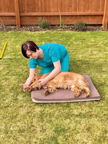 Business listing image