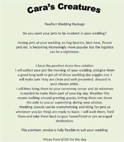 Business listing image