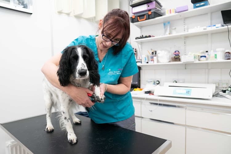 Business listing image