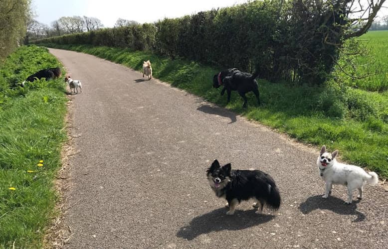 Business listing image