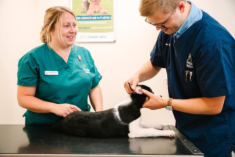 Business listing image