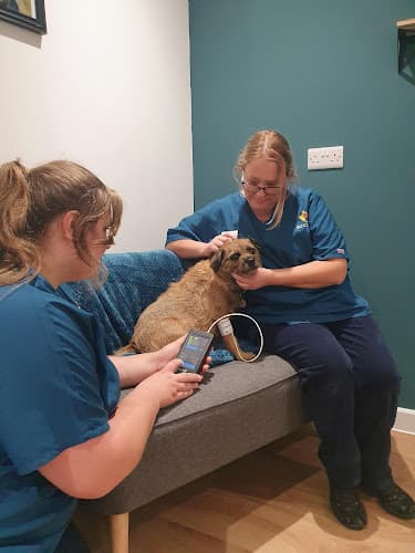 Business listing image