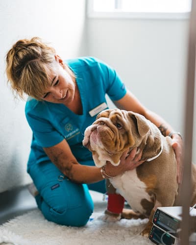 Business listing image