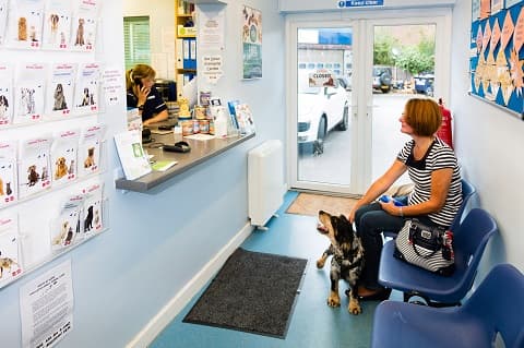 Business listing image