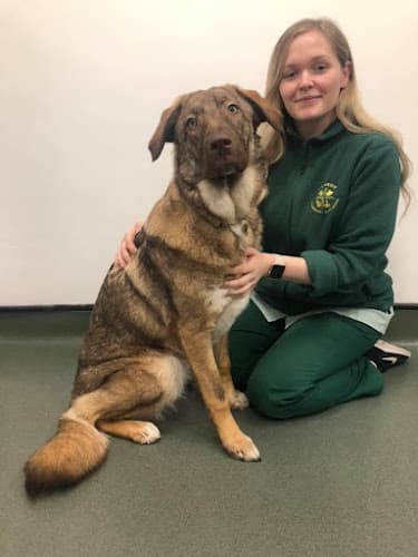 Business listing image