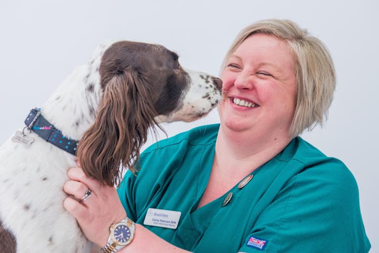 Business listing image