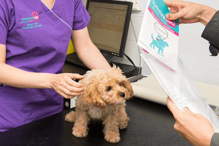 Business listing image