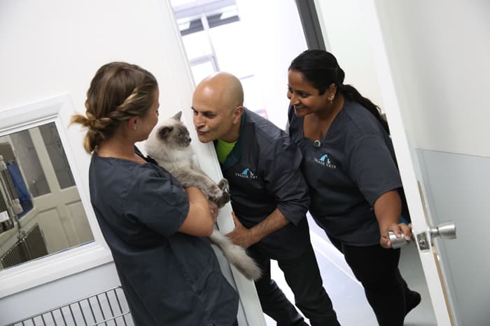 Business listing image