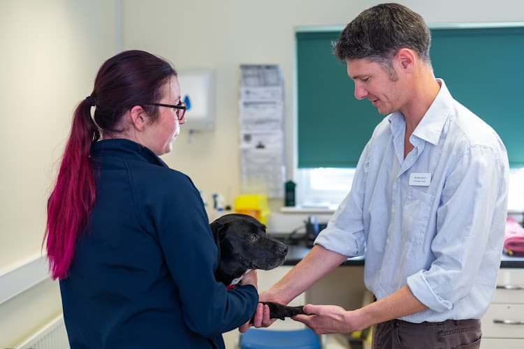 Business listing image