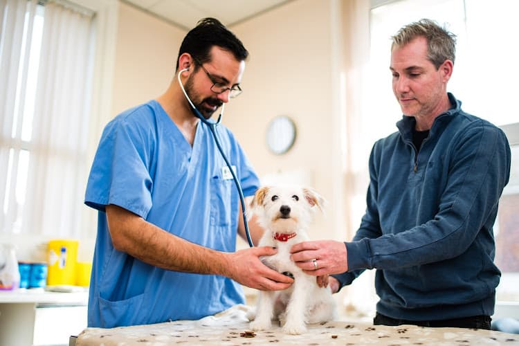 Business listing image