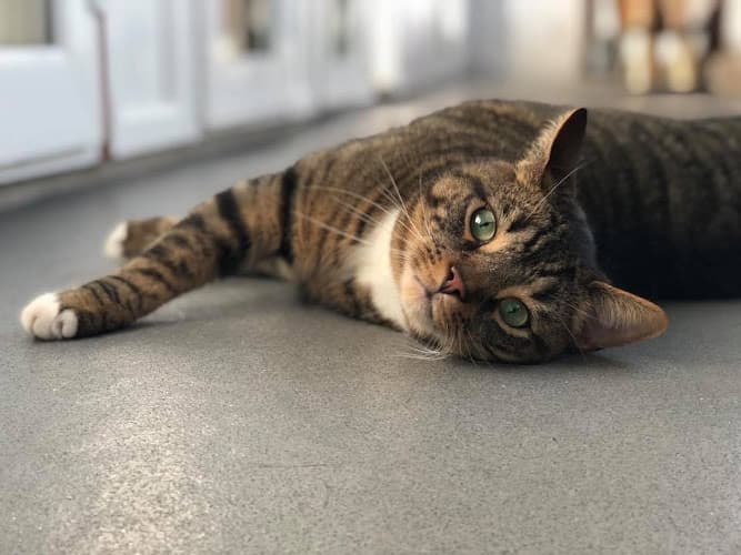 Business listing image