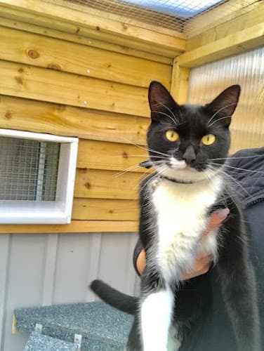 Business listing image