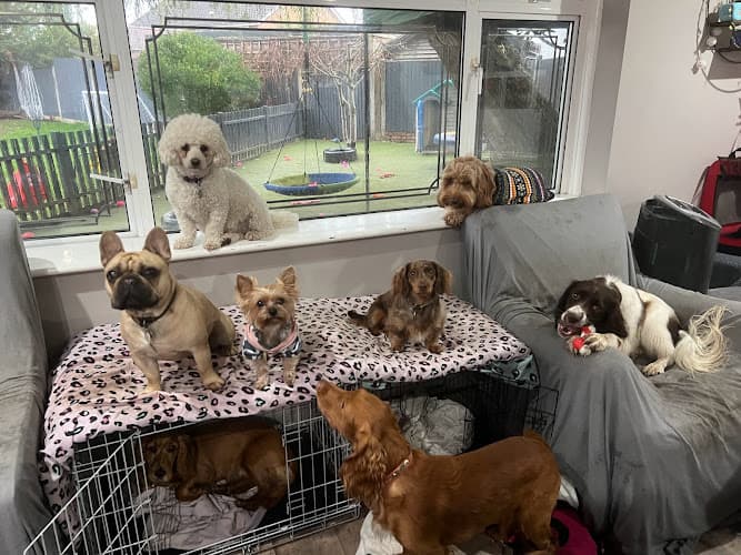 Business listing image