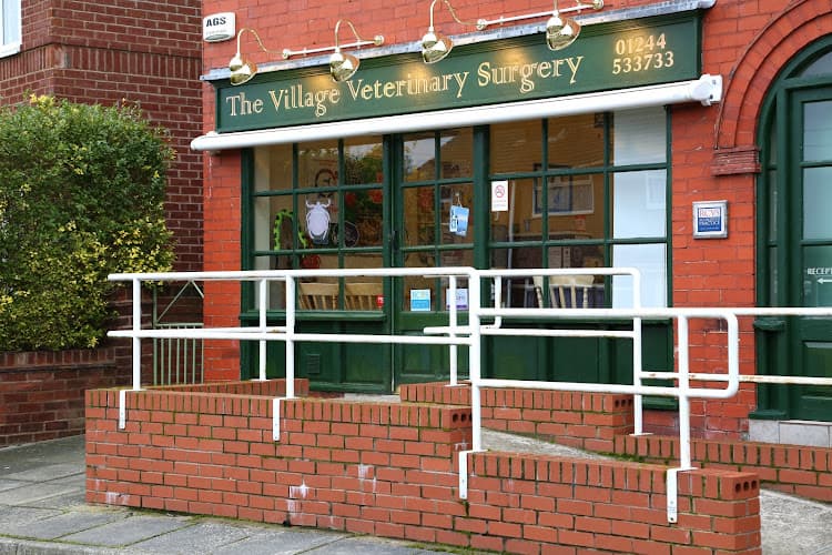 Business listing image