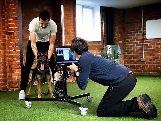 Business listing image