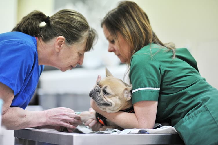 Business listing image