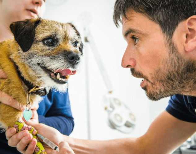 Business listing image