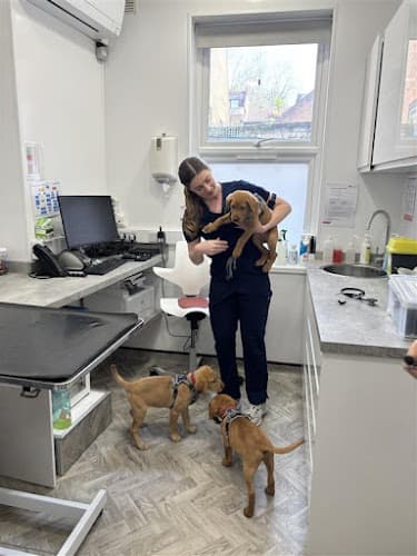 Business listing image