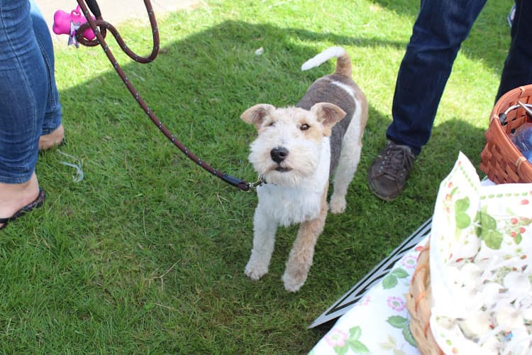 Business listing image