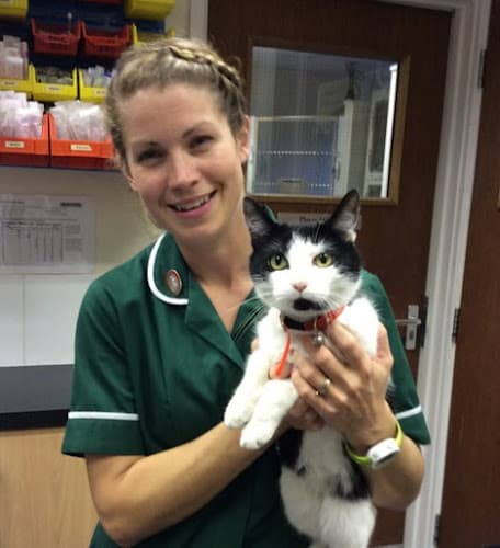 Business listing image