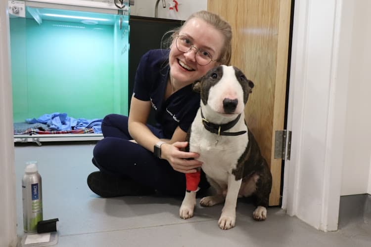 Business listing image