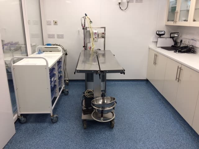 Business listing image