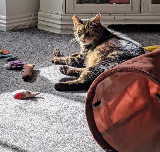 Business listing image