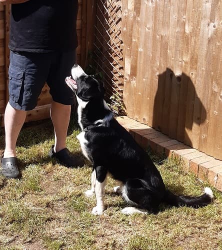 Business listing image