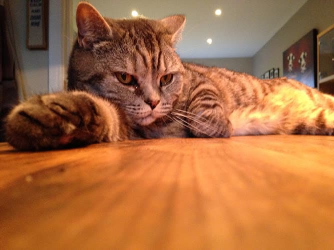 Business listing image