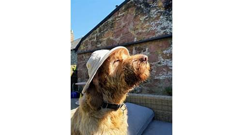 Business listing image