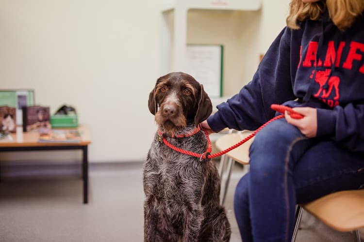 Business listing image