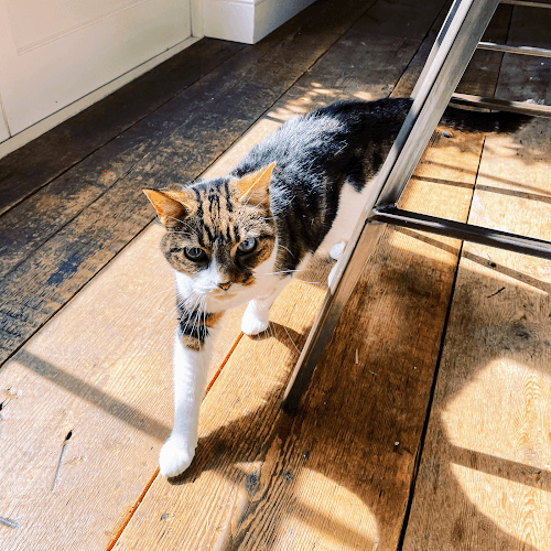 Business listing image