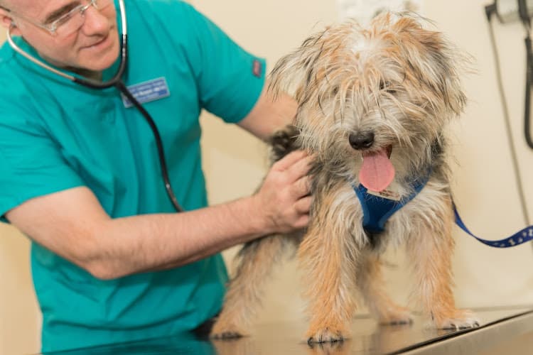 Business listing image