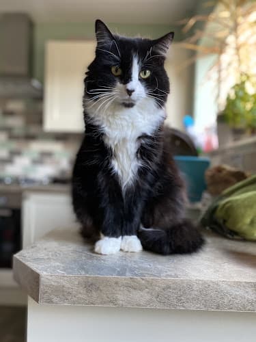 Business listing image