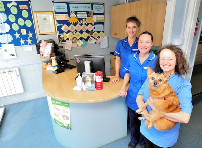 Business listing image