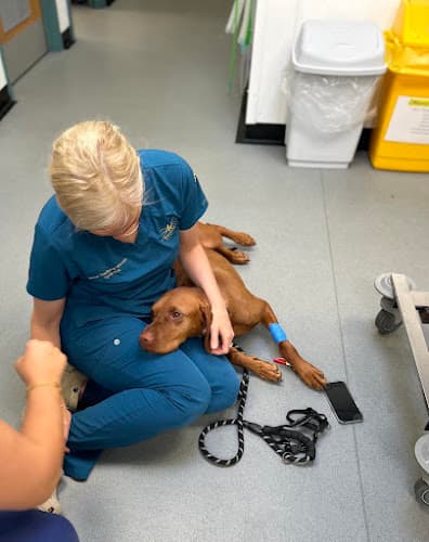 Business listing image