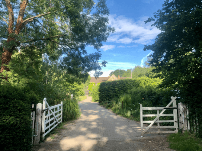 Business listing image