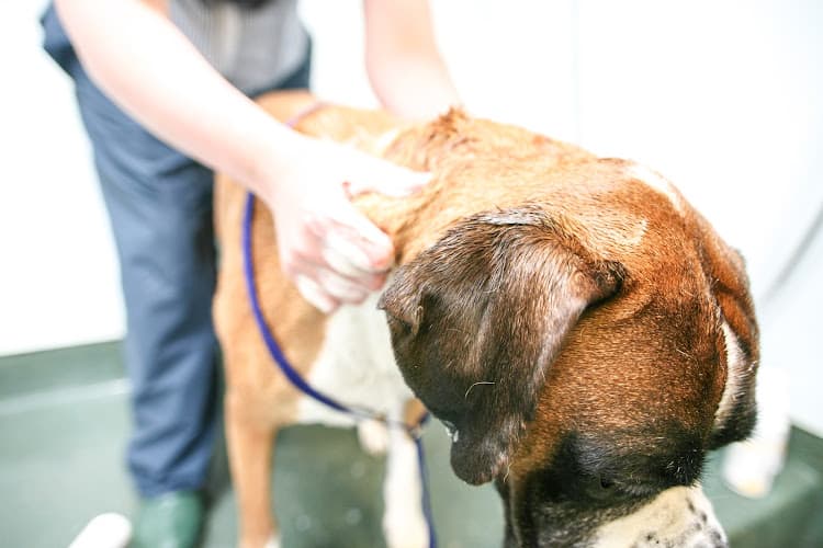 Business listing image