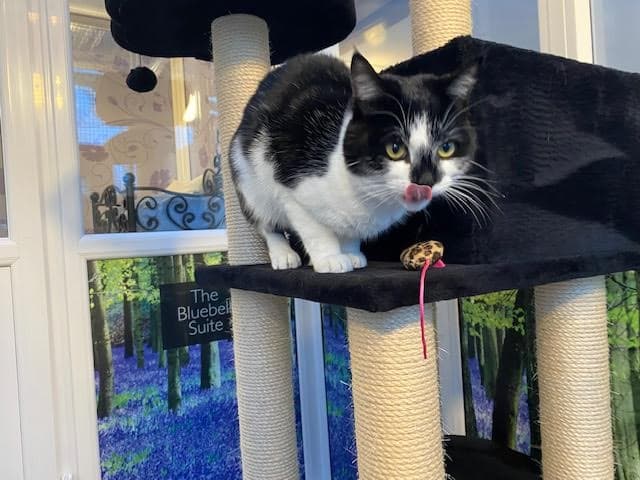 Business listing image