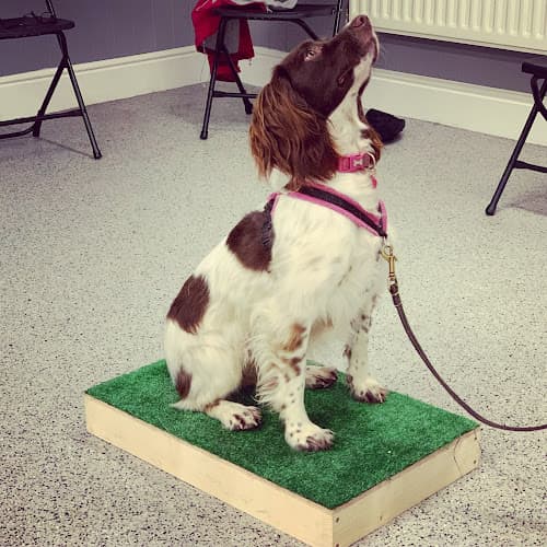 Business listing image