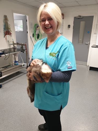 Business listing image