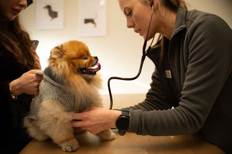 Business listing image